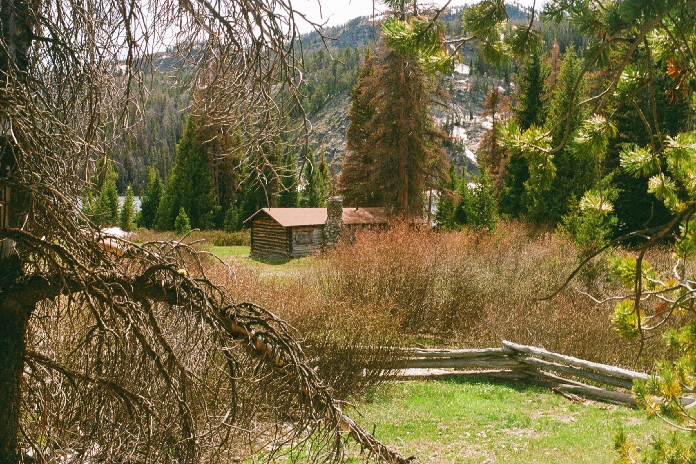 Untitled photograph from Wyoming, June 2026