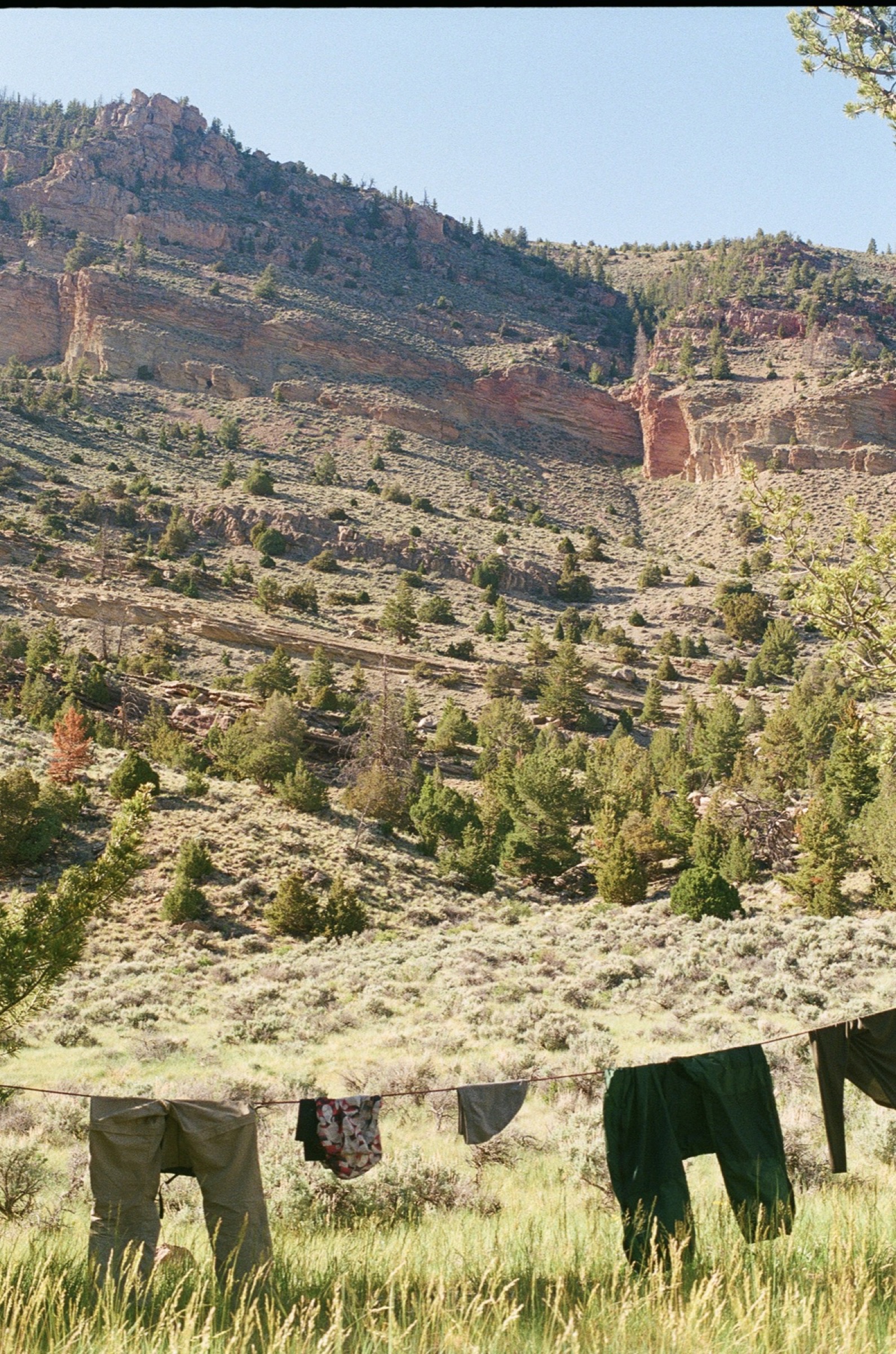 Untitled photograph from Wyoming, June 2026