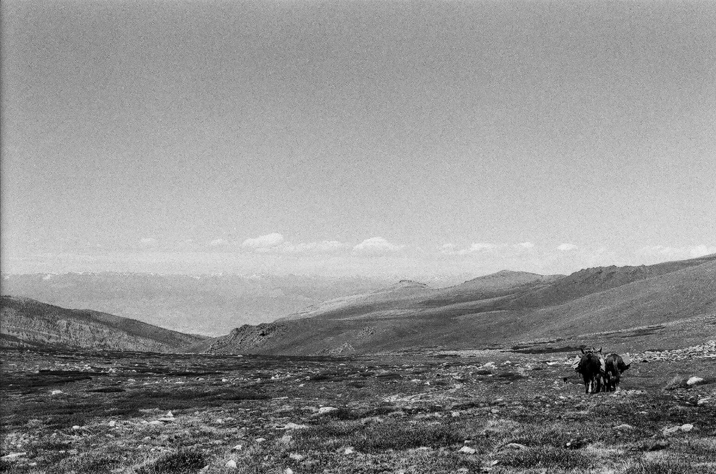 Untitled photograph from Wyoming, June 2026