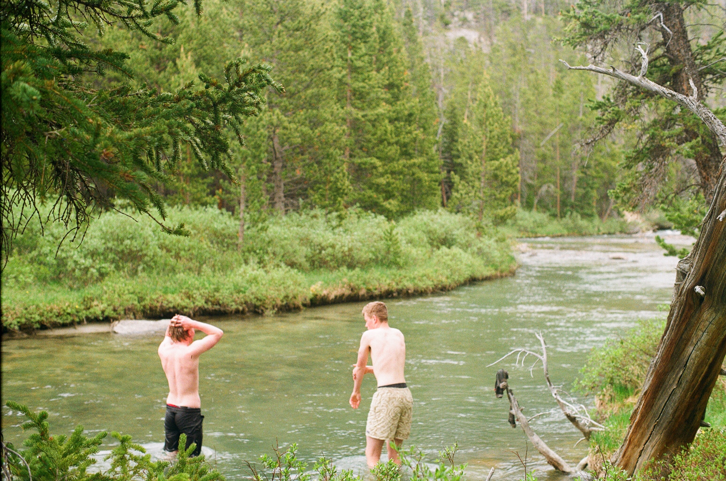 Untitled photograph from Wyoming, June 2026